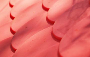 Holloway Hill plastic roof costs